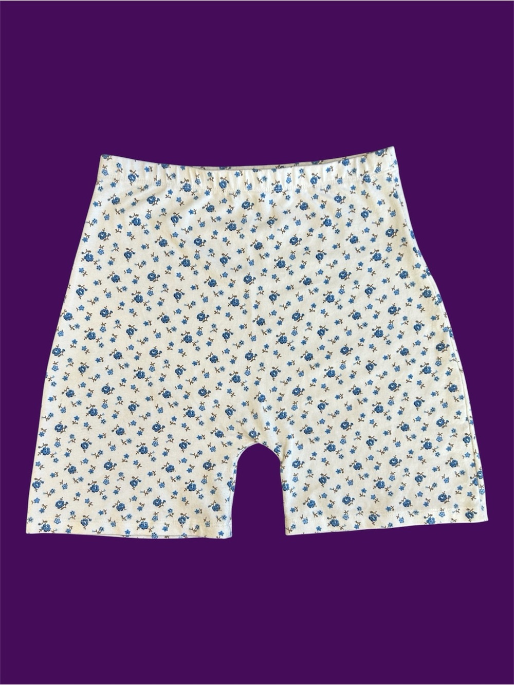 Brandy Melville White and Blue Floral Shorts